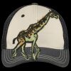 Tri Tone Mesh Back Cap Thumbnail