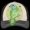 Tri Tone Mesh Back Cap Thumbnail