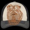 Tri Tone Mesh Back Cap Thumbnail