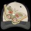 Tri Tone Mesh Back Cap Thumbnail