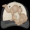 Tri Tone Mesh Back Cap Thumbnail