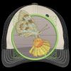 Tri Tone Mesh Back Cap Thumbnail
