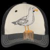 Tri Tone Mesh Back Cap Thumbnail