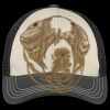 Tri Tone Mesh Back Cap Thumbnail
