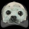 Tri Tone Mesh Back Cap Thumbnail