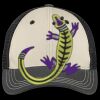 Tri Tone Mesh Back Cap Thumbnail
