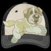 Tri Tone Mesh Back Cap Thumbnail