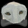 Tri Tone Mesh Back Cap Thumbnail