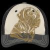 Tri Tone Mesh Back Cap Thumbnail