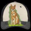 Tri Tone Mesh Back Cap Thumbnail