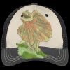 Tri Tone Mesh Back Cap Thumbnail