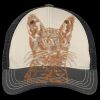 Tri Tone Mesh Back Cap Thumbnail