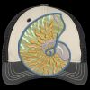Tri Tone Mesh Back Cap Thumbnail