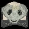 Tri Tone Mesh Back Cap Thumbnail
