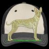 Tri Tone Mesh Back Cap Thumbnail