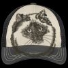 Tri Tone Mesh Back Cap Thumbnail