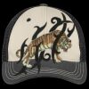 Tri Tone Mesh Back Cap Thumbnail