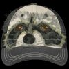 Tri Tone Mesh Back Cap Thumbnail
