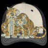 Tri Tone Mesh Back Cap Thumbnail