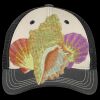 Tri Tone Mesh Back Cap Thumbnail