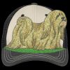 Tri Tone Mesh Back Cap Thumbnail