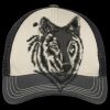 Tri Tone Mesh Back Cap Thumbnail