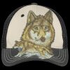 Tri Tone Mesh Back Cap Thumbnail