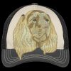 Tri Tone Mesh Back Cap Thumbnail
