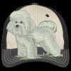 Tri Tone Mesh Back Cap Thumbnail