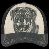 Tri Tone Mesh Back Cap Thumbnail