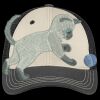 Tri Tone Mesh Back Cap Thumbnail