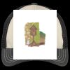 Tri Tone Mesh Back Cap Thumbnail