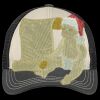 Tri Tone Mesh Back Cap Thumbnail