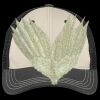 Tri Tone Mesh Back Cap Thumbnail
