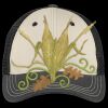 Tri Tone Mesh Back Cap Thumbnail