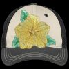 Tri Tone Mesh Back Cap Thumbnail