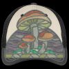 Tri Tone Mesh Back Cap Thumbnail