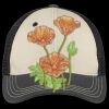 Tri Tone Mesh Back Cap Thumbnail