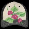 Tri Tone Mesh Back Cap Thumbnail
