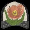 Tri Tone Mesh Back Cap Thumbnail