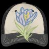 Tri Tone Mesh Back Cap Thumbnail
