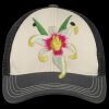 Tri Tone Mesh Back Cap Thumbnail