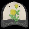 Tri Tone Mesh Back Cap Thumbnail