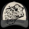 Tri Tone Mesh Back Cap Thumbnail