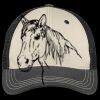 Tri Tone Mesh Back Cap Thumbnail