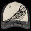 Tri Tone Mesh Back Cap Thumbnail