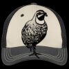 Tri Tone Mesh Back Cap Thumbnail