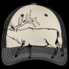 Tri Tone Mesh Back Cap Thumbnail