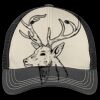 Tri Tone Mesh Back Cap Thumbnail