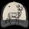 Tri Tone Mesh Back Cap Thumbnail